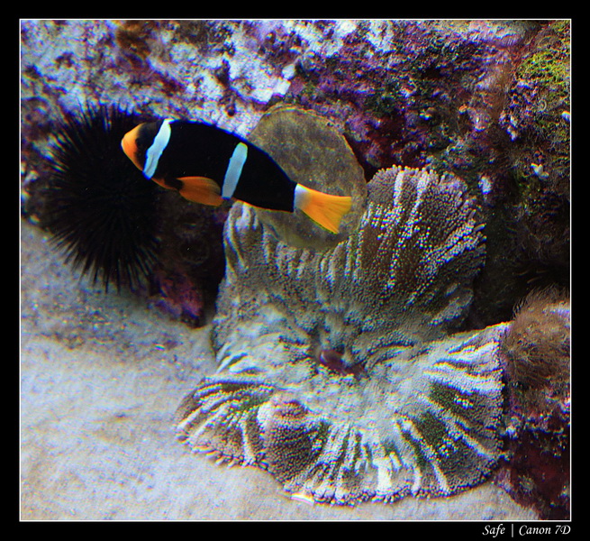 2012 - 06 - Dubai - 008